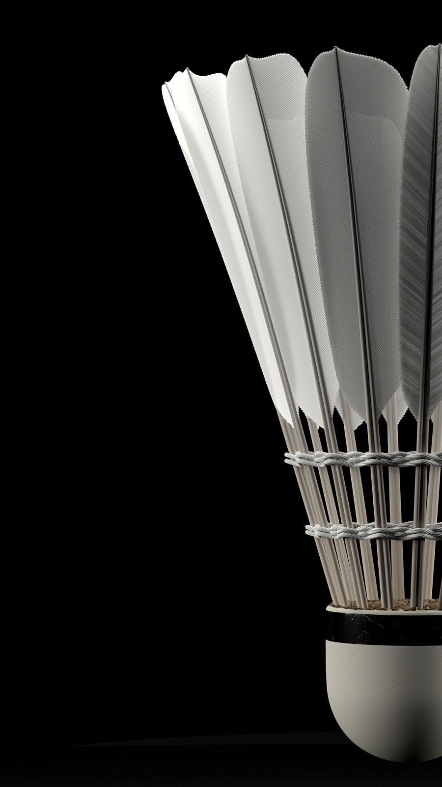 激励着无数 激励着无数